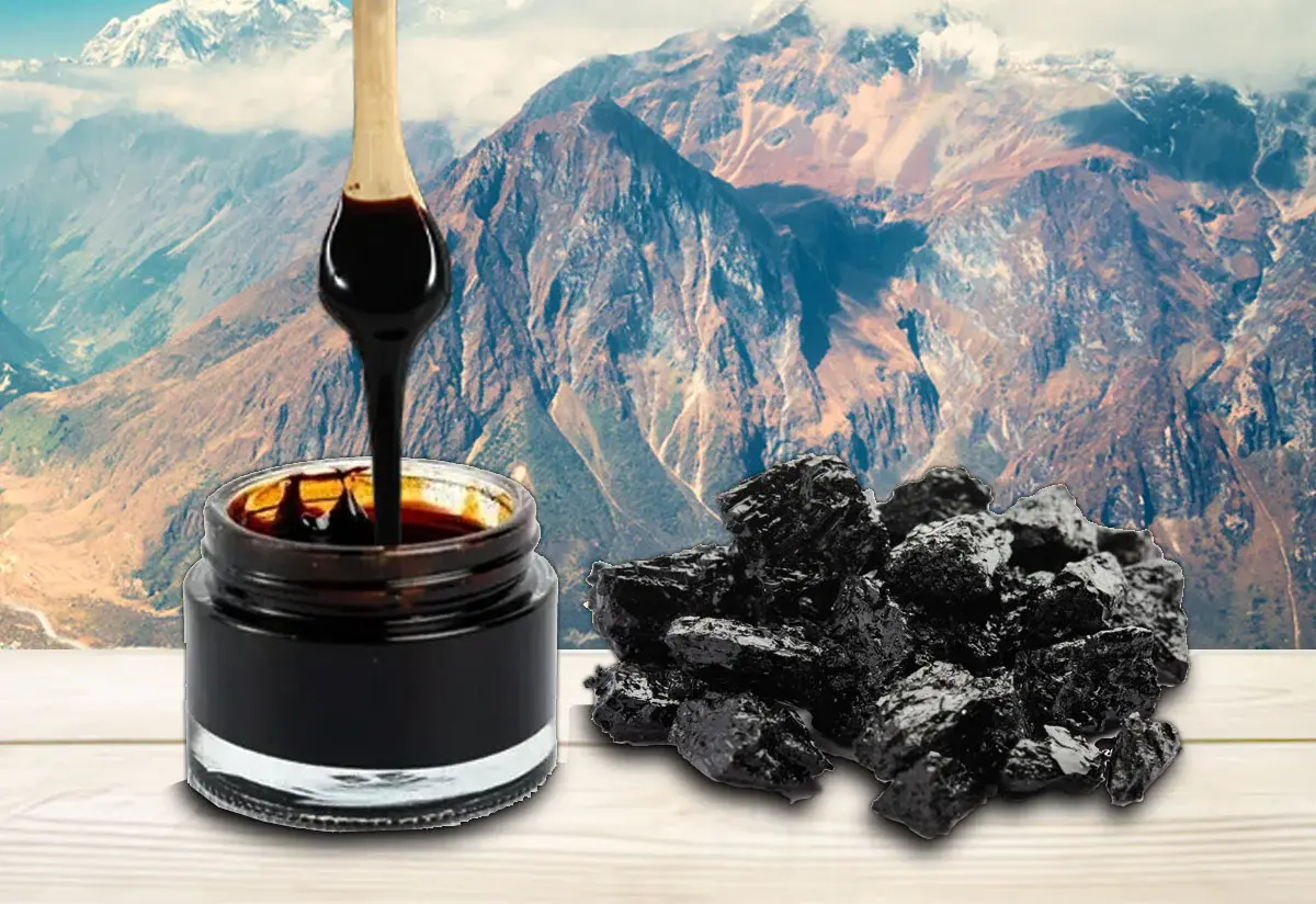 Pure Himalayan Shilajit organic